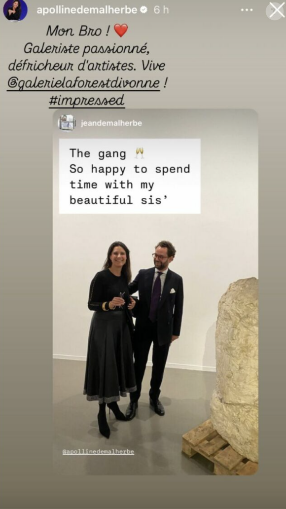 "Mon bro ! Galeriste passionné, défricheur d'artistes. Vive Galerie LaForest Divonne ! #Impressed", a-t-elle commenté sur une photo de leur duo complice depuis sa galerie
Apolline de Malherbe présente son frère Jean, un galeriste. Instagram