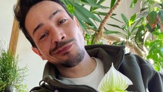 Steevy Boulay (Loft Story) : Sa nouvelle vie dans une maison envahie par la nature, située au coeur d'une des villes les plus vertes de France