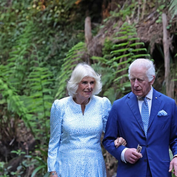 Le roi Charles III et la reine Camilla lors d'une visite des jardins botaniques nationaux australiens, à Canberra, le deuxième jour de la visite royale en Australie et aux Samoa. Canberra, Australie, le 21 octobre 2024. Photo par Chris Jackson/PA Wire/ABACAPRESS.COM