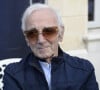 Charles Aznavour
Charles Aznavour lors de l'hommage rendu à Jean-Paul Belmondo: "Marseille fête Belmondo" au Château de la Buzine. © Patrick Carpentier/Bestimage