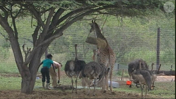 La DGS Team entourée des animaux