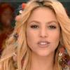 Waka Waka, l'hymne de la Coupe du Monde par Shakira fait l'objet de beaucoup de critiques négatives en Afrique du Sud, pays organisateur du Mondial.