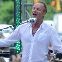 Sting : L'Englishman et son charisme insolent ont fait un malheur à New York !