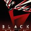 Les nouvelles affiches de Black Swan : des oeuvres d'art