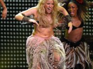 Shakira : Quand des fans lui sautent dessus en plein concert !