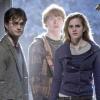 Daniel Radcliffe, Emma Watson et Ruper Grint dans Harry Potter et les Reliques de la mort (partie 1), sortie en salles le 23 Novembre 2010.