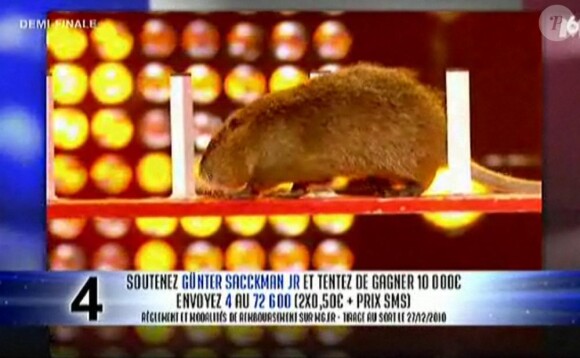 "La France a un incroyable talent" sur M6.