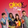 Glee, succès de 2010