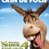 La bande annonce de Shrek 4, il était une fin, sortie en salles le 30 juin 2010.