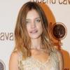 Natalia Vodianova célèbre les 40 ans de carrière de Roberto Cavalli à Paris, le 29 septembre 2010.