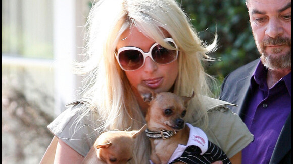 Paris Hilton : Pas question que ses chiens soient tous à poils !