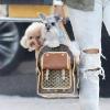 Ciara transporte ses chiens dans un sac Louis Vuitton à Beverly Hills le 22 février 2011