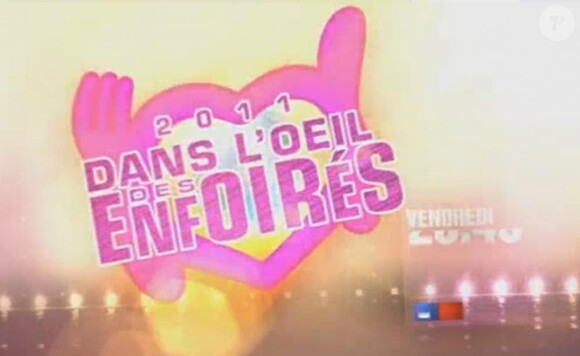 Dans l'oeil des Enfoirés, vendredi 11 mars 2011 à 20h45 sur TF1 et RTL.