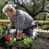 Boris Becker et sa femme Lilly jardinent pour la marque Praktiker, à Miami le 4 mars 2011