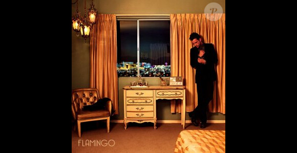 Brandon Flowers - Flamingo - septembre 2010