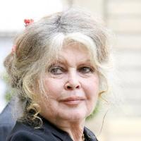 Brigitte Bardot : Sa nouvelle victime ? Catherine Deneuve !