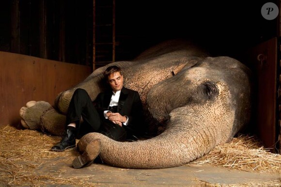 Robert Pattinson et l'éléphante Rosie dans des images de De l'eau pour les éléphants, en salles le 4 mai 2011.