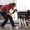 Le film M. Popper et ses pingouins, on va rire le  20 juillet dans les salles