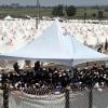 Le camp de réfugiés d'Altinözü, dans la province de Hatay à la frontière turco-syrienne le 17 juin 2011