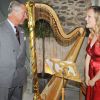 Le prince Charles a une nouvelle harpiste officielle : la jeune Hannah Stone, 24 ans, a fait ses grands débuts dans sa nouvelle fonction le 27 juin 2011 dans la ferme du prince au Pays de Galles.