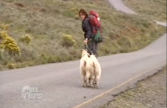François galère avec sa chèvre dans Pékin Express : la route des grands fauves diffusé le mercredi 29 juin 2011 à 20h45 sur M6