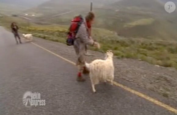Jean-Pierre galère avec sa chèvre dans Pékin Express : la route des grands fauves diffusé le mercredi 29 juin 2011 à 20h45 sur M6