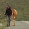 Ludovic et Samuel marchent avec leur vache dans Pékin Express : la route des grands fauves diffusé le mercredi 29 juin 2011 à 20h45 sur M6
