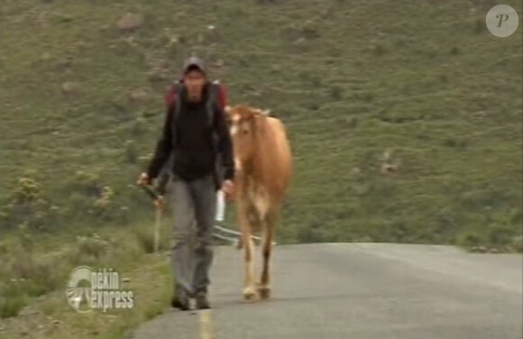 Ludovic et Samuel marchent avec leur vache dans Pékin Express : la route des grands fauves diffusé le mercredi 29 juin 2011 à 20h45 sur M6