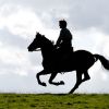 Des sublimes images de Cheval de Guerre, en salles en février 2012.