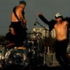Pour leur nouveau single, The Adventures of Rain Dance Maggie, premier extrait de l'album I'm with you, les Red Hot Chili Peppers s'embarquent dans un clip sans danger : un live sur un toit qui permet de découvrir le nouveau look d'Anthony Kiedis et le petit nouveau, Josh Klinghoffer
