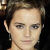 Emma Watson, British stylée, affirme son ADN beauté : désormais, la jeune femme de 21 ans porte les cheveux courts et laisse exploser sa féminité grâce à un maquillage subtil mais intense. 