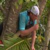 Martin perché dans un arbre dans Koh Lanta Raja Ampat