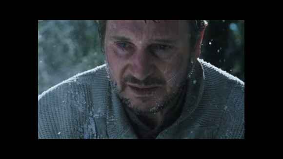 The Grey : Liam Neeson survivra-t-il après le drame ?