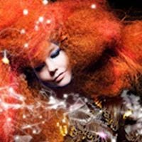 Björk anime la pochette de son album pour le clip Moon