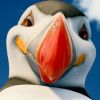 Happy Feet 2 fait partie de ces films d'animation à vocation écologique.
