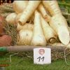 Des légumes racines dans Masterchef 2, jeudi 20 octobre 2011 sur TF1