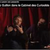 Stéphane Guillon sincère dans le Cabinet des Curiosités.