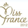 Le jury de Miss France 2012 a été dévoilé