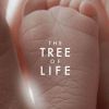L'affiche de The Tree of Life