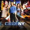 Les Experts New York