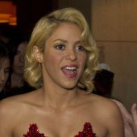 Shakira : Chevalier de l'Ordre des arts et des lettres avant de reprendre Cabrel