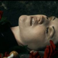 The Cranberries refleurit : Dolores s'épanouit au milieu des roses de 'Tomorrow'