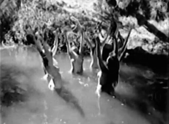 Le clip de la chanson Western Love de Mareva Galanter a été réalisé par Nicolas Perge à partir d'images des films Renegade Girl (1946) et Ramrodder (1969). Le clip a été censuré par Youtube, décision incomprise par la chanteuse.