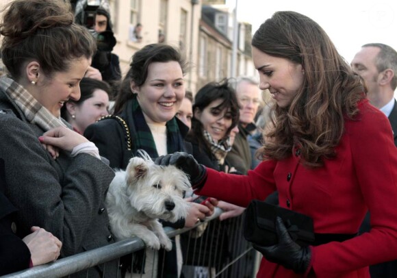 Kate Middleton à St. Andrews en février 2011.
Depuis Noël 2011, le prince William et son épouse Catherine, duchesse de Cambridge, sont les heureux maîtres de Lupo, un cocker anglais noir. Le toutou tient compagnie à Kate en ce début d'année 2012, tandis que William est en mission dans les Malouines.