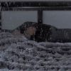 Image du clip Disparate Youth de Santigold, premier single officiel de l'album Master of My Make-Believe, à paraître en mai 2012.