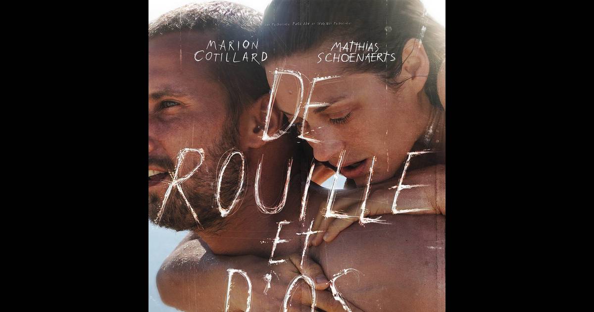 Saint Jacques La Mecque Film Complet Gratuit De rouille et d'os avec Marion Cotillard : Une affiche violemment