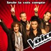 Les coachs de The Voice