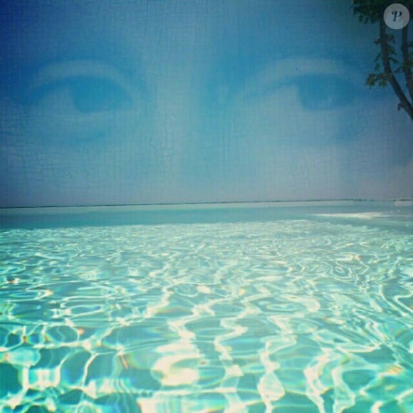La Joconde au-dessus de la piscine, photo dévoilée par le compte Facebook de Secret Story. "Méfiez-vous de l'eau qui dort"
