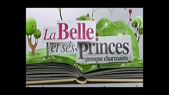 La Belle et ses princes presque charmants : W9 innove pour la saison 2...
