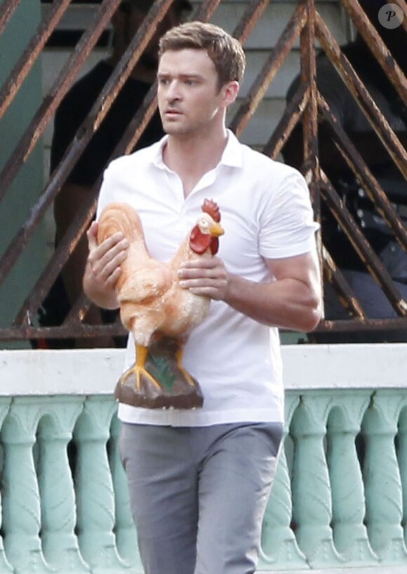 Justin Timberlake et son coq sur le tournage de Runner, Runner, à Puerto Rico le 25 juin 2012